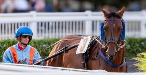 Régis GUEGUEN - Réphoto